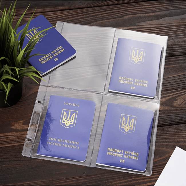 Папка моряка на змійці (крейзі) Шоколад